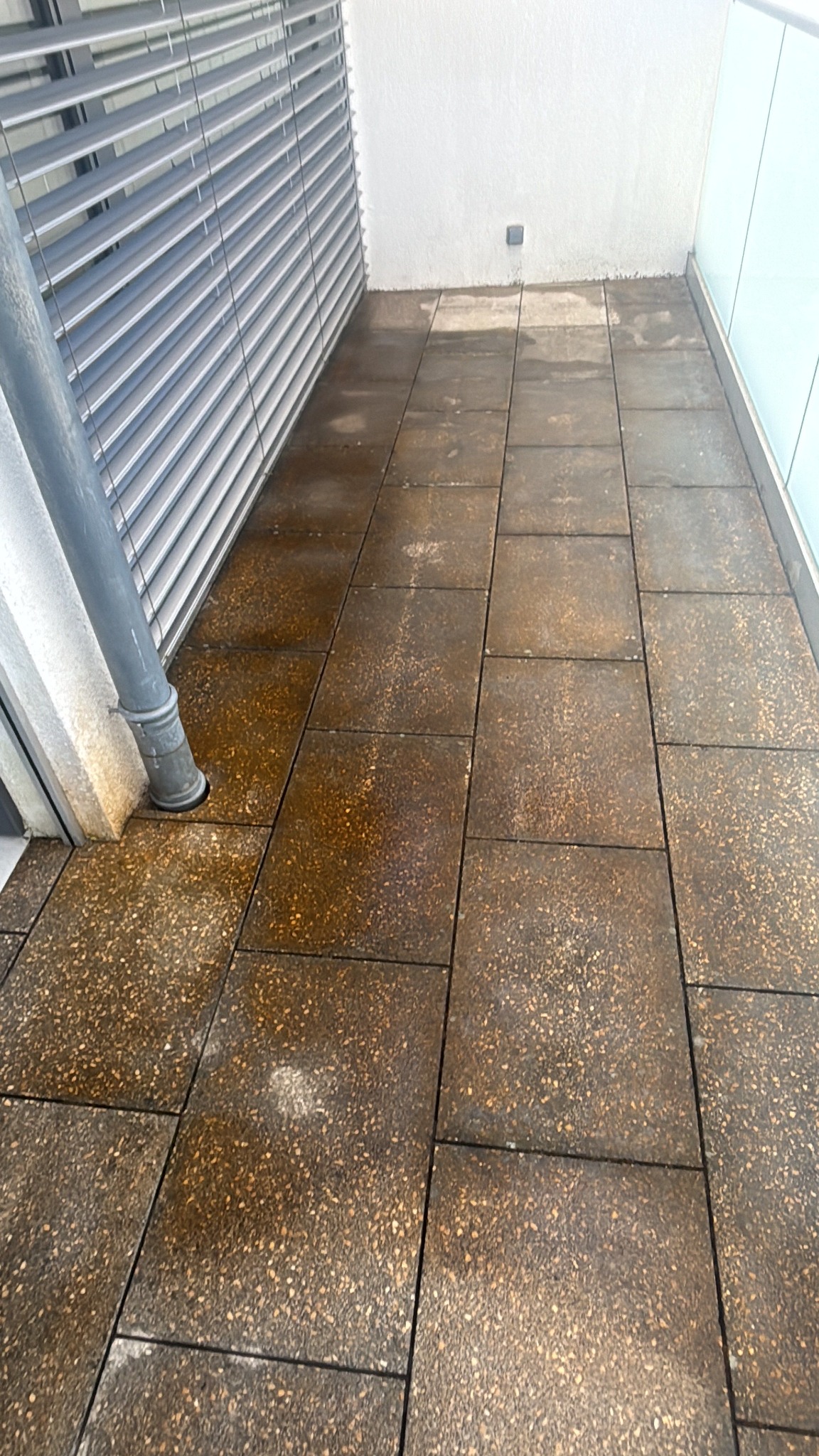 Terrasse avant traitement Fongimousse et lavage haute pression – Louvet Peinture